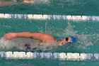 Swimming vs Babson  Wheaton College Swimming vs Babson College. - Photo By: KEITH NORDSTROM : Wheaton, Swimming, Babson
